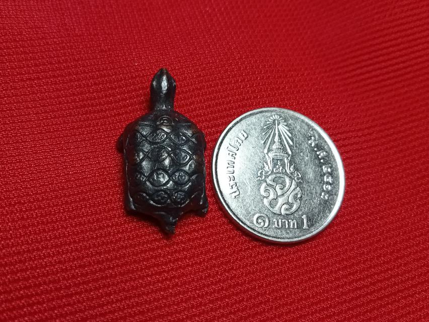 เต่าหลวงพ่อทรัพย์วัดตลุก 3