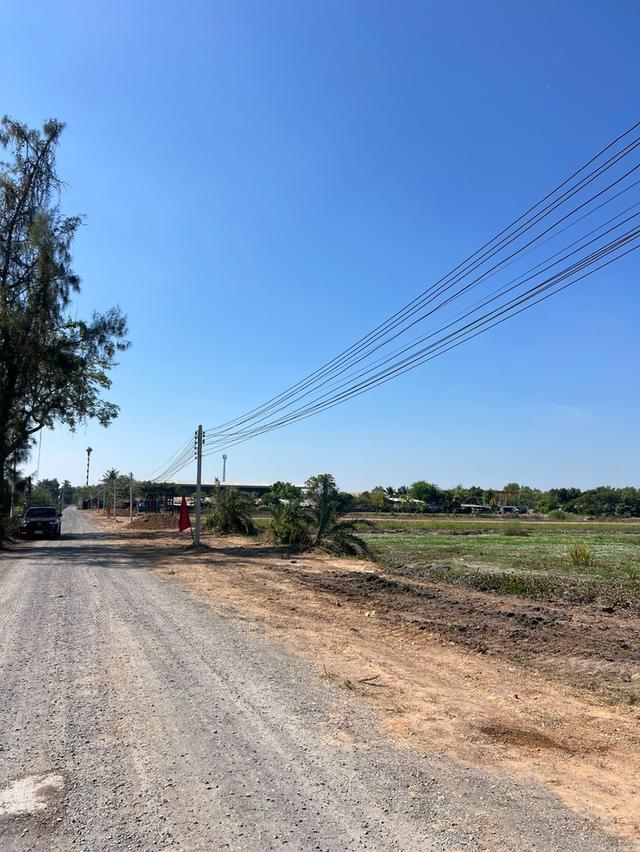 ที่ดินสวยทำเลดี ซ.พนารัตน์ ตำบล บึงบา อำเภอ หนองเสือ ปทุมธานี 8