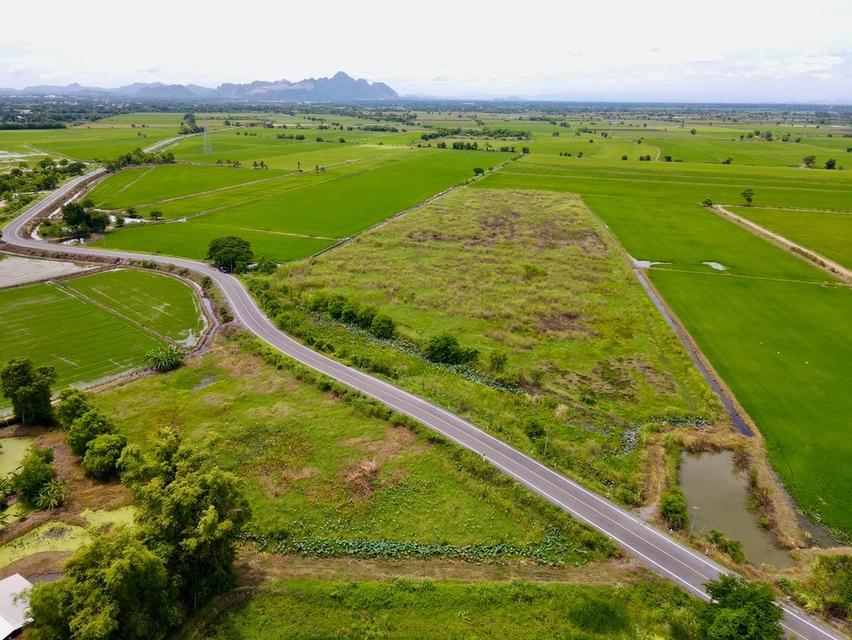 ขายที่ดินติดถนนลาดยาง แหล่งชุมชน  📍ต.หรเทพ อ.บ้านหมอ จ.สระบุรี 10