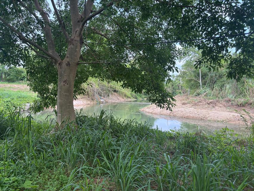 ที่ดินพร้อมอาคาร ย่านสระบุรี ติดน้ำ วิวเข้า ที่สี่เหลี่ยมแปลนสวย 4