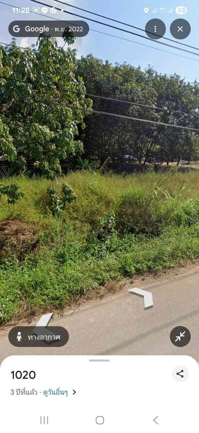 ขายสวนยาง 3.1ไร่ 60 ตรว ติดถนนสายหลัก ทำเลดี อำเภอขุนตาล จังหวัดเชียงราย 13