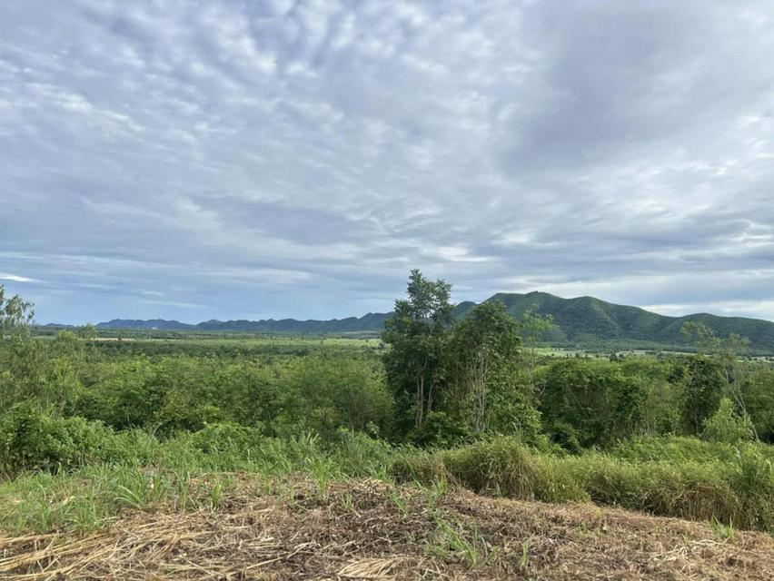 ขายที่ดินเพชรบุรี ทำเลงาม 5