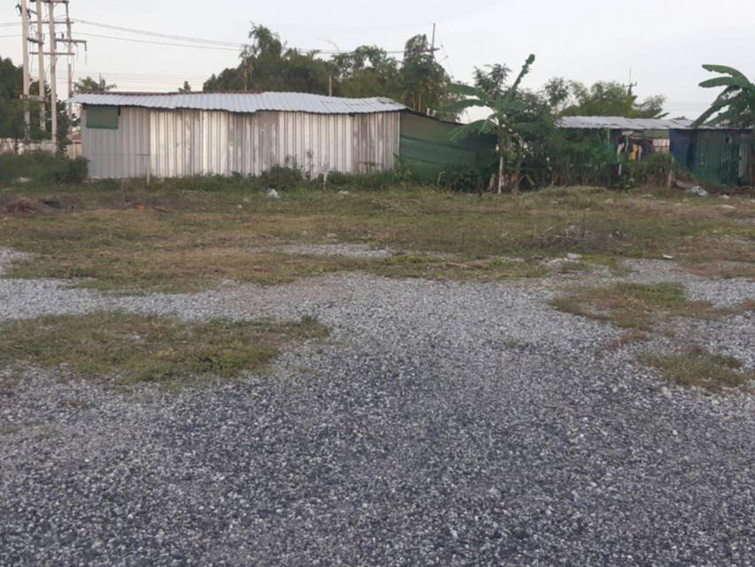 ให้เช่า ที่ดินผังม่วง​ลายติดถนนเส้นหลักในนิคมเอเชีย​ 5 ไร่​ 2​ งาน​ 66​ ตารางวา​ ปรับหน้าดินเรียบร้อยแล้วมีเสาไฟ 2 ต้น 3