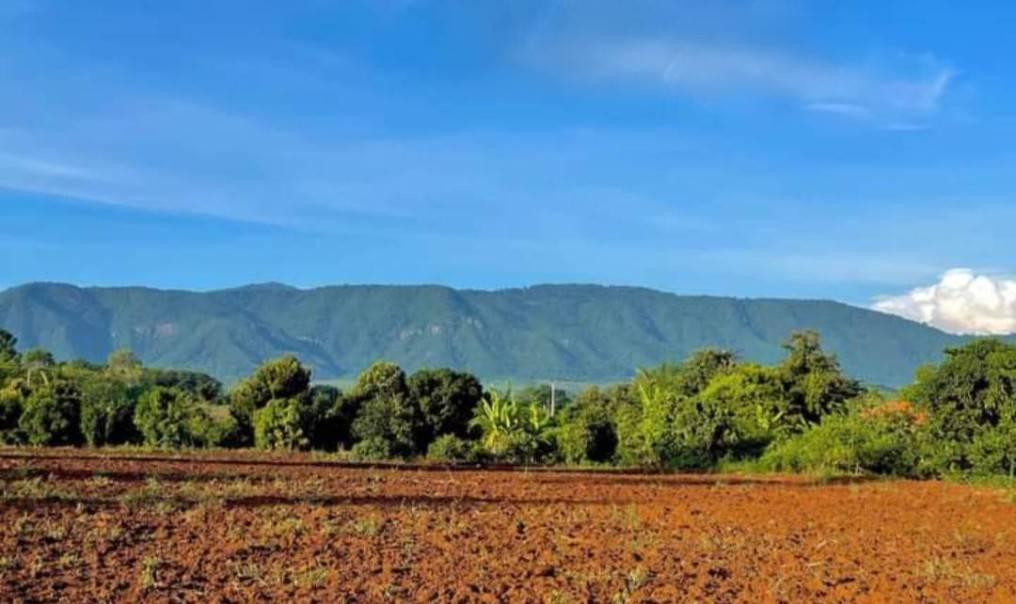 ขายที่ดินหมูสี 7 ไร่ เทควิวอุทยานแห่งชาติเขาใหญ่เต็มตา อยู่แถวคลองปูน คลองดินดำ ติดถนนลาดยาง เดินทางสะดวก ใกล้ทอสคานา Toscana ไฟฟ้า น้ำประปาหน้าที่ 4