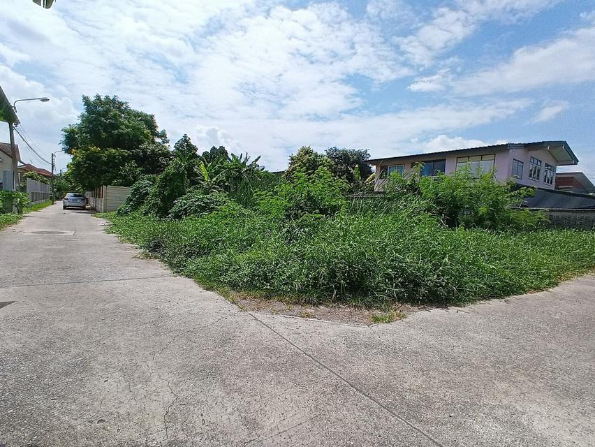 ขายที่ดินเนื้อที่ 100 ตารางวา ซอยคู้บอน 25 แยก 5 กรุงเทพมหานคร 1