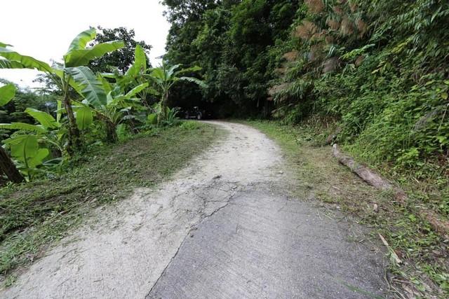 ขายที่ดินที่ภูเก็ต อยู่เกาะภูเก็ตเลย ตำบลป่าตองเหมาะทำบ้านพักตากอากาศ หรือ รีสอร์ทเล็กๆ วิวทะเล เห็นหาดป่าตอง 5