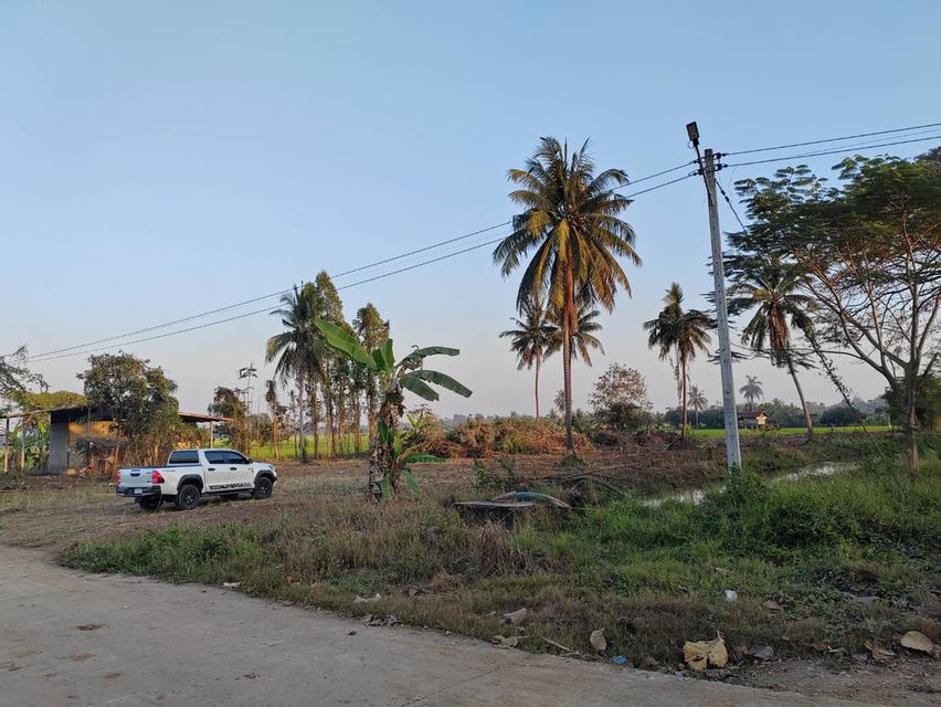 ขายที่ดินหน้ากว้าง รูปทรงชายธง ทำเลดีมาก – ต.ย่านยาว อ.เมือง จ.พิจิตร 8