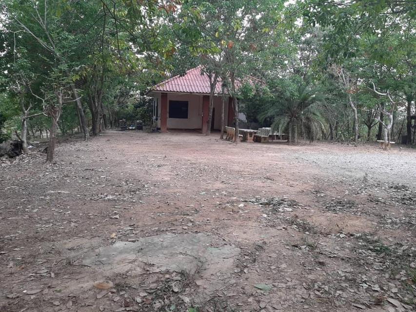 ขายที่ดินแปลงใหญ่ 148 ไร่ เป็นสวนยางพารา ที่มีโฉนด 3