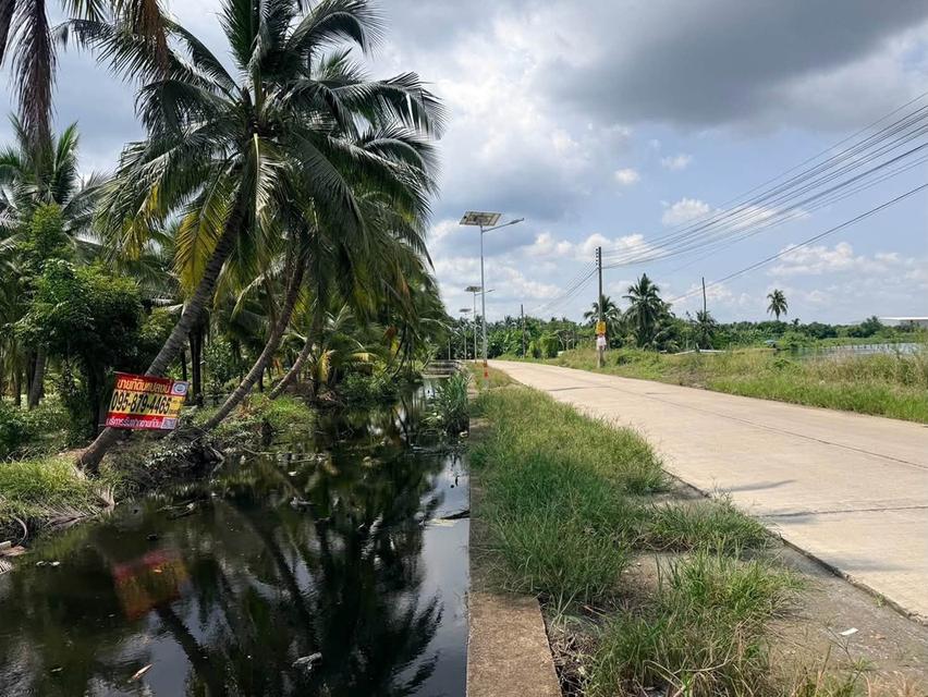 ขายที่ดินนครชัยศรี 641 ตรว ติดถนนสาธารณะ ต.ขุนแก้ว อ.นครชัยศรี จ.นครปฐม 1
