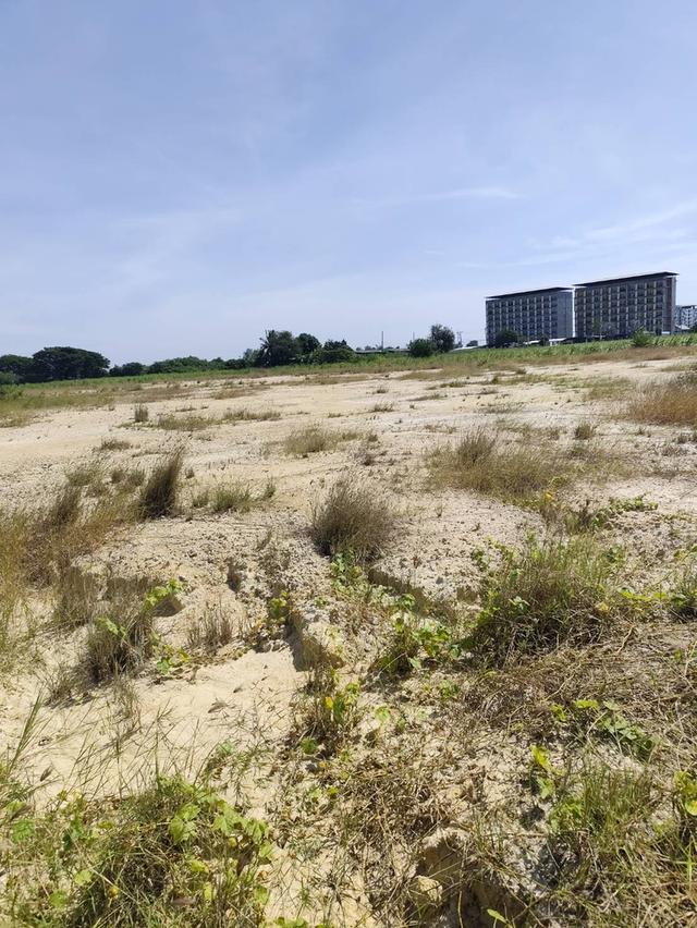 ขายที่ดิน 1-9 ไร่ กำแพงแสน นครปฐม land for sale Nakhon Pathom 13