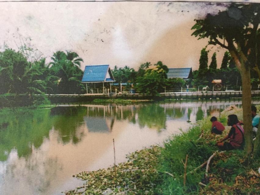 ที่ดินสวน น้ำรอบ สามพราน นครปฐม 5