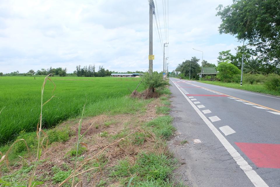 ขายที่ดินคลอง 14 ลำลูกกา (หน้ากว้างติดถนน 72 เมตร) 2