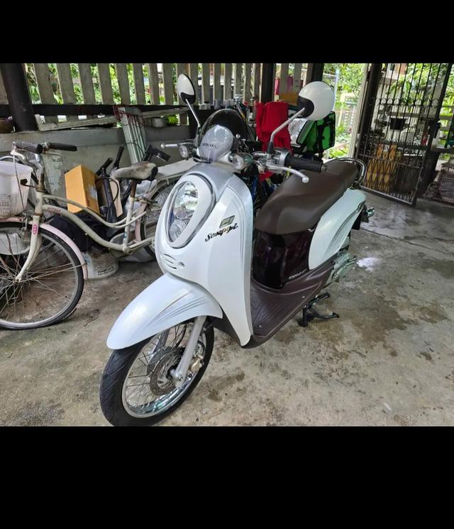 Honda scoopy i 2010 สภาพนางฟ้า สีขาว รูปที่ 5