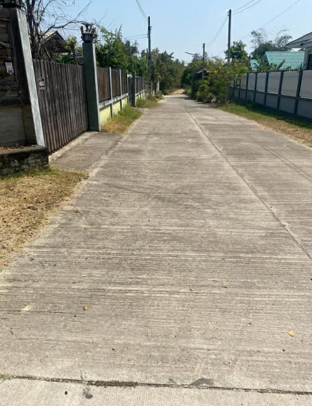 ขายที่เขาตามาก 90 ตรว. โฉนดพร้อมโอน ถูกมาก ที่ถมแล้ว 3