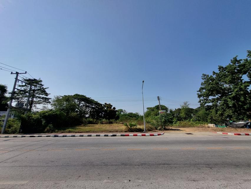 ที่ดินเปล่า ใกล้ถนนหลัก 2ไร่ 3งาน เหมาะสำหรับลงทุน 1