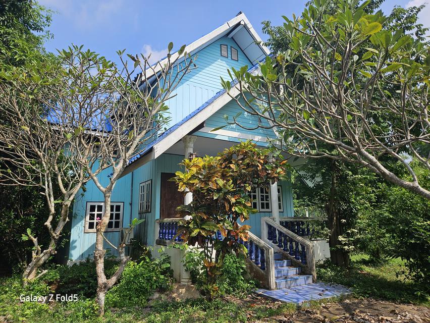 ที่ดินติดถนนสาย 33 ปราจีนบุรี 11