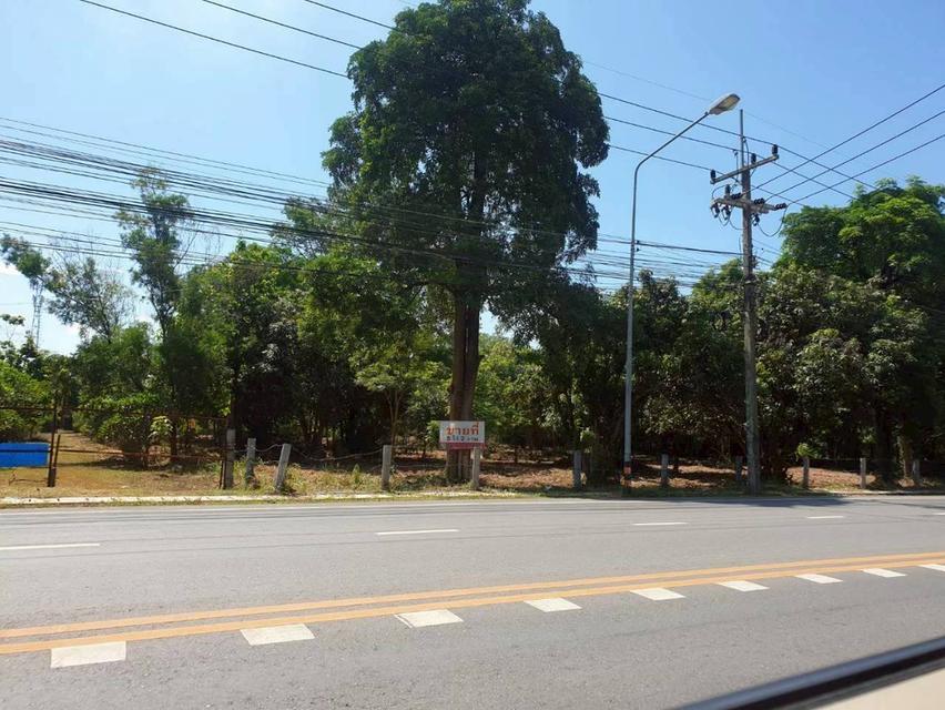 ต้องการขายที่ดินเปล่า 6