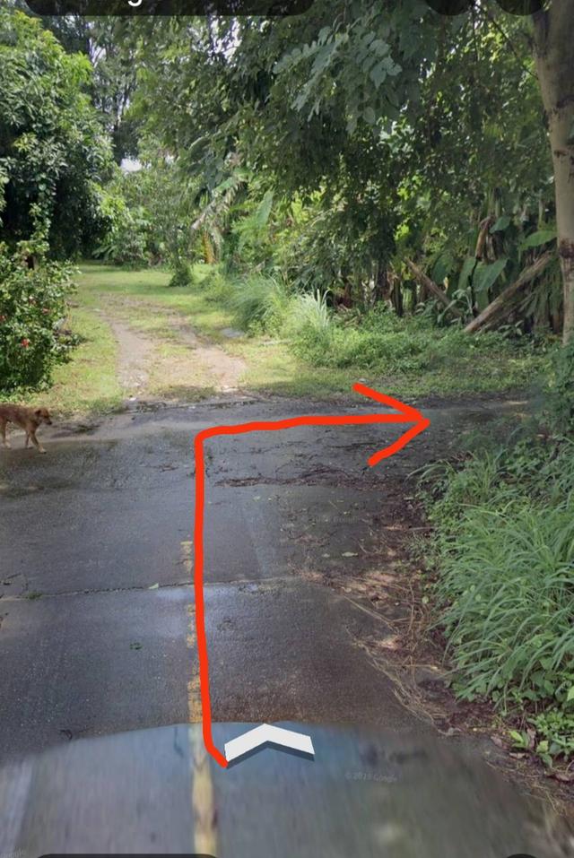 ที่ดินว่างเปล่าปลูกบ้านได้ 4