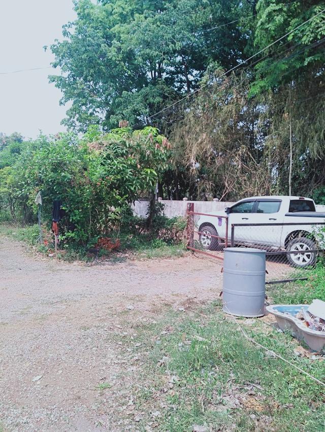 โฉนดที่ดินบ้านสวน ใกล้ตัวเมือง 6