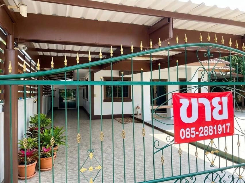 บ้านเดี่ยว 80 ตรางวา 2