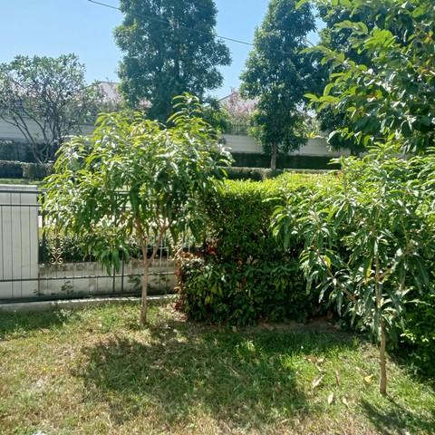 P587 ให้เช่า หมู่บ้านเพอร์เฟคเพลส กรุงเทพกีฑาพระราม 9 Perfect Place Rama 9-Krungthep Kreetha ราคาเช่าถูก เดินทางสะดวก 4