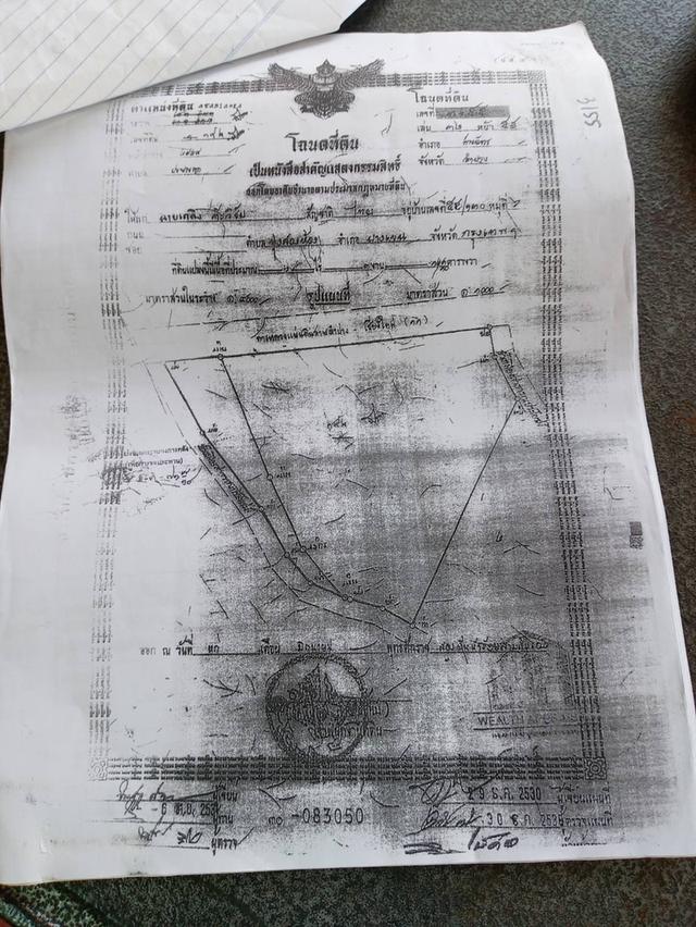 ที่ดินลำปางแถวห้างฉัตรพร้อมฟาร์มม้า 1