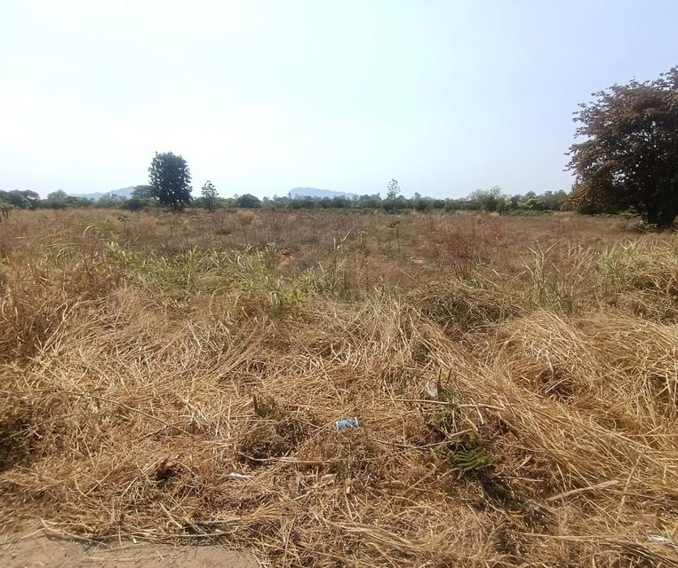 ขายที่ดินเปล่า 14-2-80 ไร่ ติดถนนสายราชบุรี 4016 อำเภอจอมบึง จังหวัดราชบุรี 4