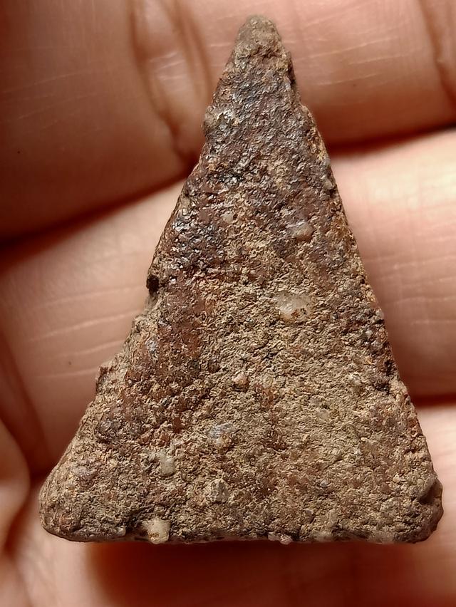 พระนางพญา กรุน้ำท่วม 2