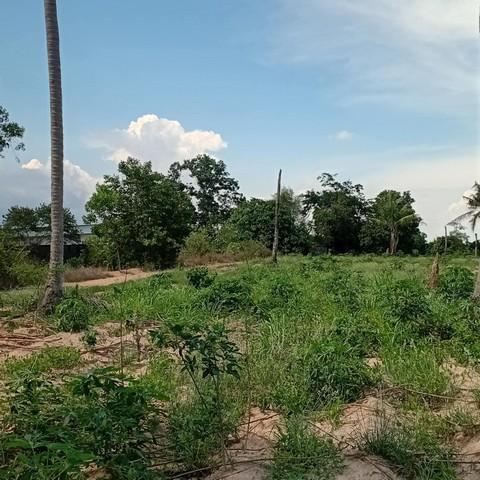 ขายที่ดินนิคมพัฒนาระยอง 6 ไร่ ที่ดินแปลงสวยๆทำเลทอง ที่ติดถนน เหมาะ โกดัง ที่พักอาศัย อพาร์ทเม้นท์ 1
