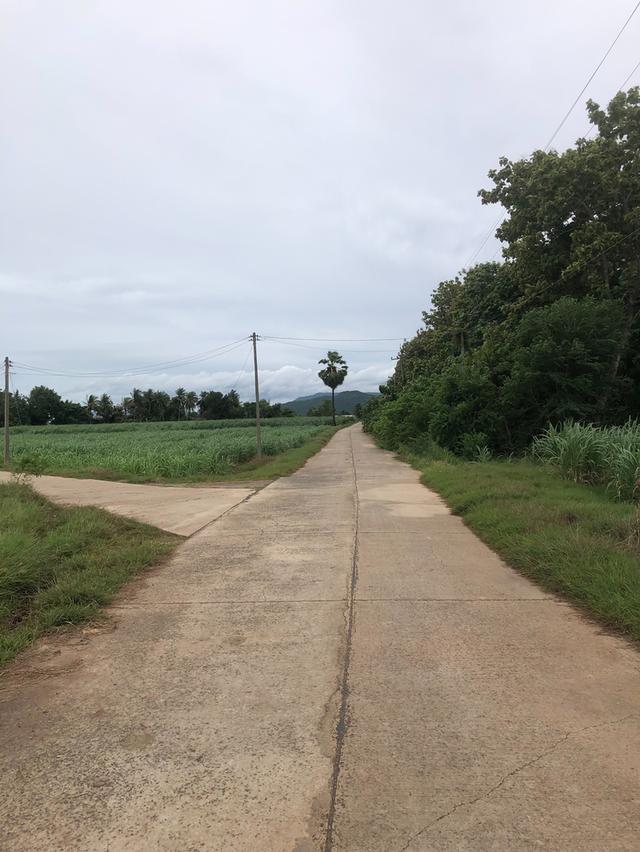 ไร่ละ1แสนขายทีดิน107ไร่ จ.ลพบรี 1