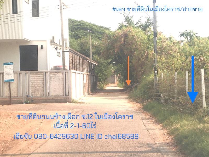 ขายที่ดินถนนช้างเผือก ซ.12 ในเมืองโคราช ทำเลหอพัก อพาร์ทเม้นท์ คอนโด ที่ดินถมแล้ว เนื้อที่ 2-1-60ไร่ ติดถนน 2ด้าน ขนาดที่ 70x40m 4