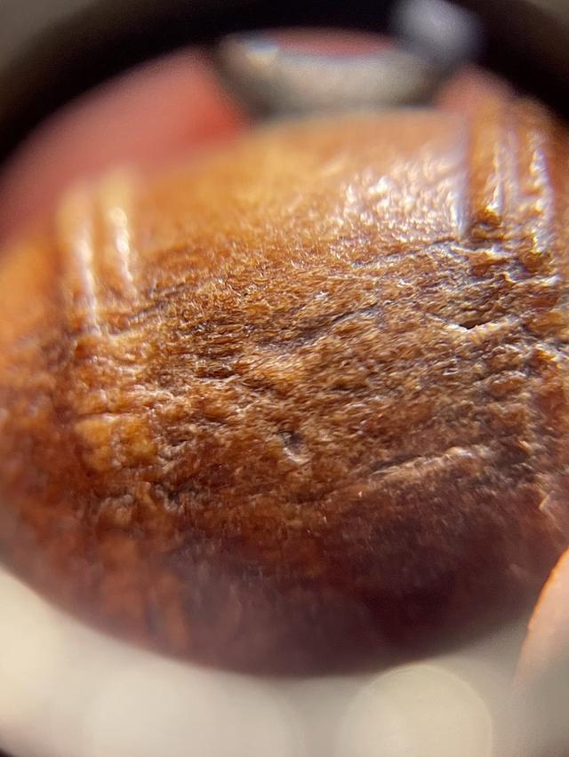 ตะโพนหลวงพ่อภักตร์ วัดโบสถ์หัวกะบัง อ่างทอง 10