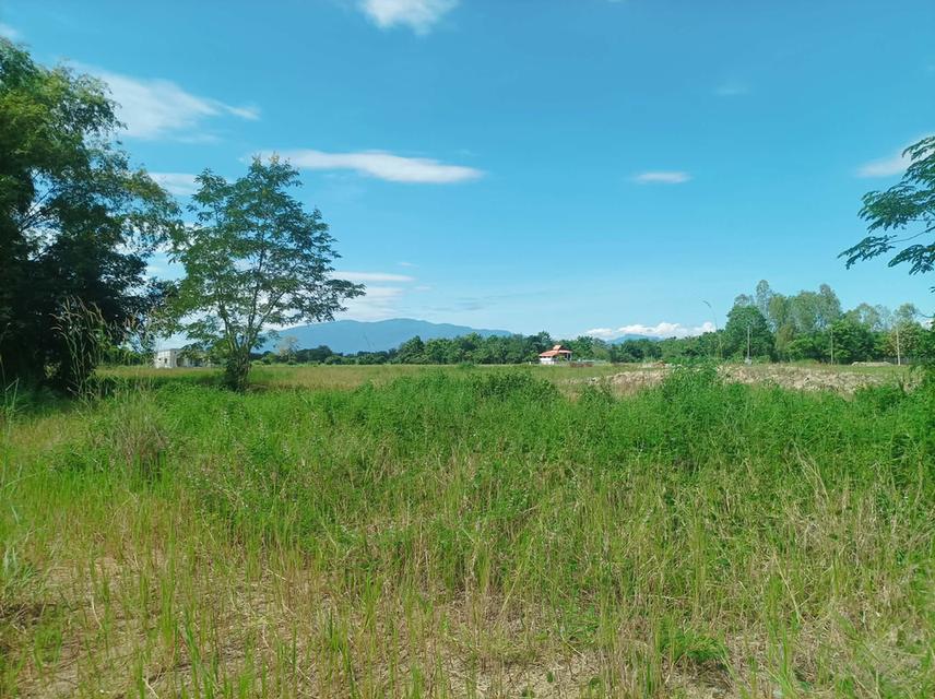 ขายที่ดิน ราคา3,980/ตร.ว. ต.สำราญราษฎร์ อ.ดอยสะเก็ด จ.เชียงใหม่ 7