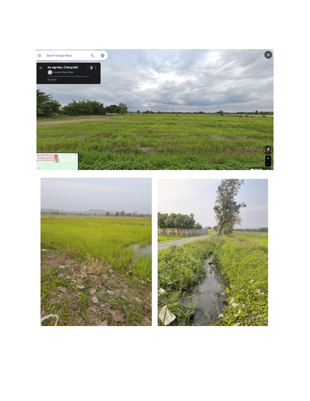 ขายที่นาราคาถูก 8 ไร่ ตำบลป่าป้อง อำเภอดอยสะเก็ด เชียงใหม่ 1