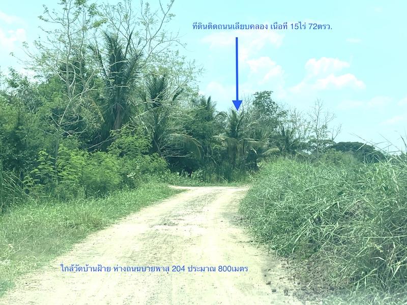 ขายที่ดิน เนื้อที่ 15ไร่ หน้ากว้าง 50เมตร ตำบลหนองกระทุ่ม เมืองนครราชสีมา ข้างวัดบ้านฝ้าย เนื้อที่ 15-0-72ไร่ห่างจากถนนบายพาส 204 2