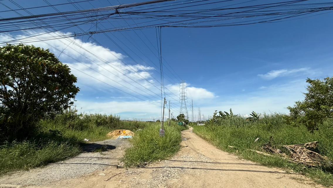 ที่ดินเปล่า 3