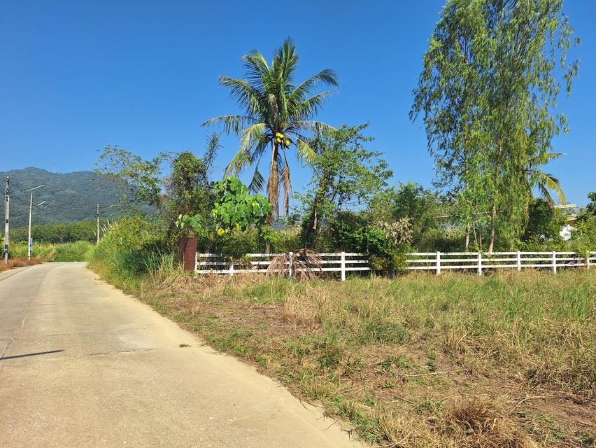 ที่ดินวิวเขายายดา ระยอง 5