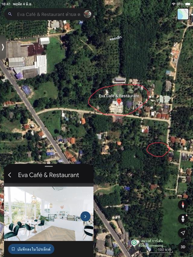 ขายที่ดิน 1 ไร่ ตำบล.ตลิ่งงาม อำเภอเกาะสมุย 1