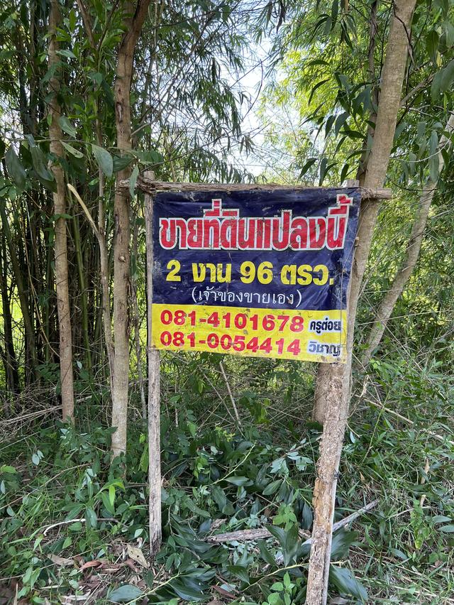 ขายที่ดิน ระยอง อำเภอ แกลง ตำบล ชากโดน เจ้าของขายเอง วัดสมอโพรง 7
