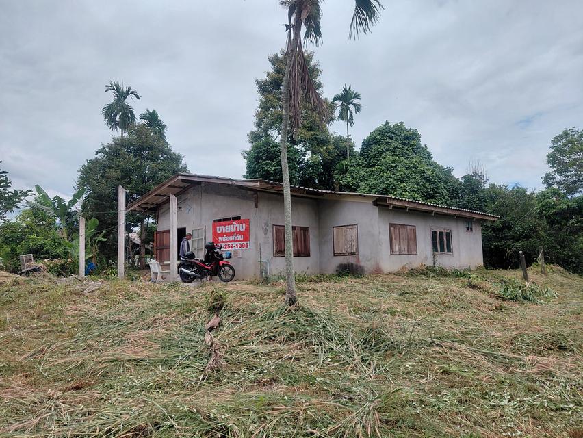 ที่สวนพร้อมอ.เมือง จ.ระยอง 1