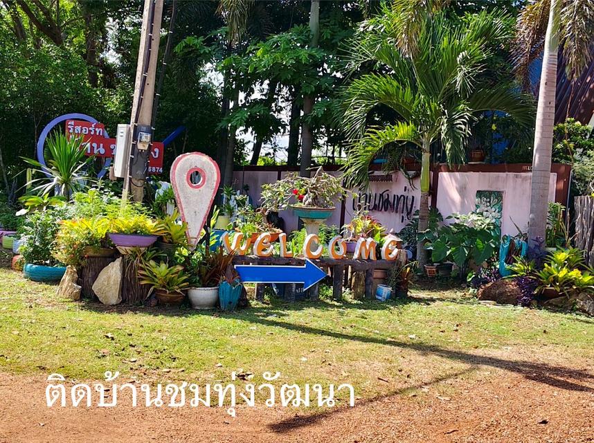 มารับทรัพย์แปลงนี้ด่วน‼️ที่ดินติดรีสอร์ต "ชมทุ่ง" วิวหลักล้าน บรรยากาศชิลทุกตารางนิ้ว  แถมบ้านเดี่ยว มีผู้เช่าตลอดปี บ้านอ่างไผ่ อ.วัฒนานคร จ.สระแก้ว 20