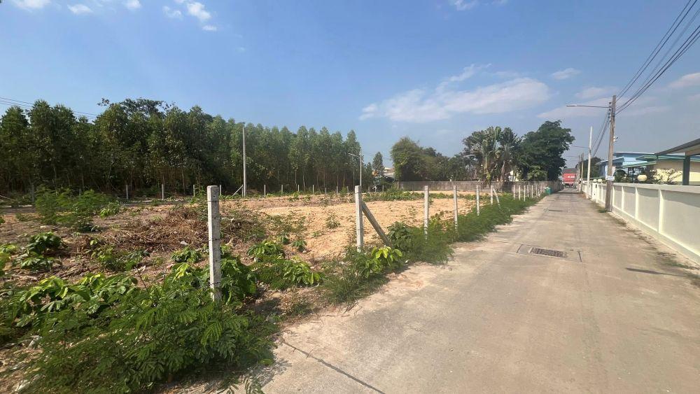 ขายที่ดินทำเลศักยภาพ พัทยา หนองปรือ ชลบุรี 1-2-70 ไร่ 4
