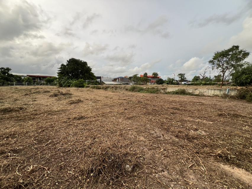 ที่ดิน ระยอง 3 ไร่ 395 ตารางวา 11