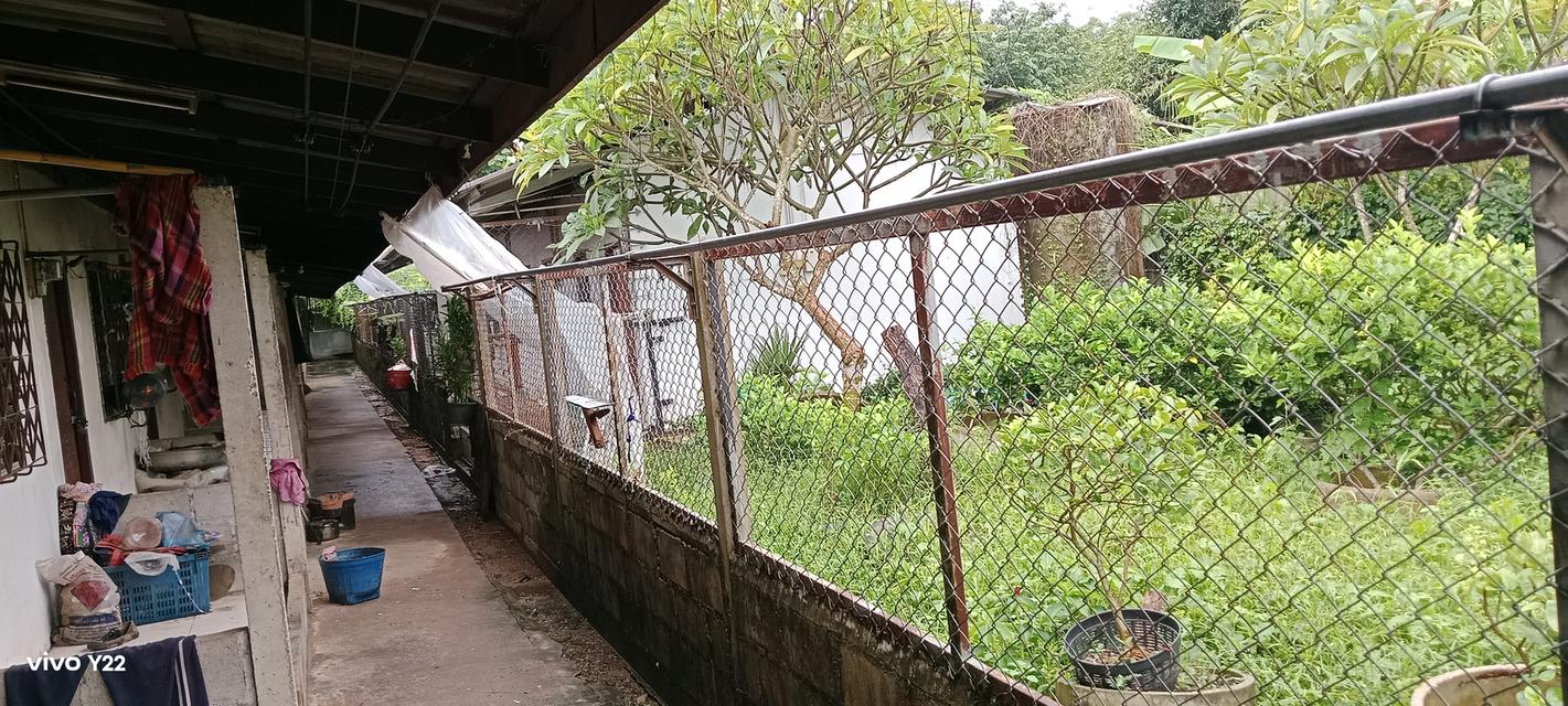 ที่ดินพร้อมห้องแถว 23ห้อง ตรงข้ามโรงงานปลากระป๋อง ใกล้ปั๊มพีที อำเภอวังจันทร์ จังหวัดระยอง 1