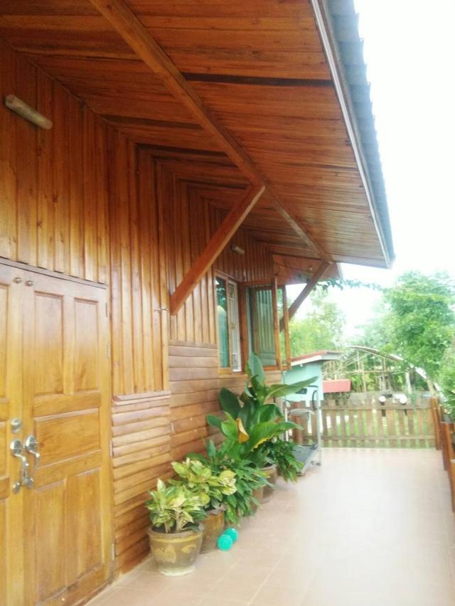 ขายบ้านสวน ทำเลดี 3 ไร่ 1 งาน จังหวัดอุดรธานี 2