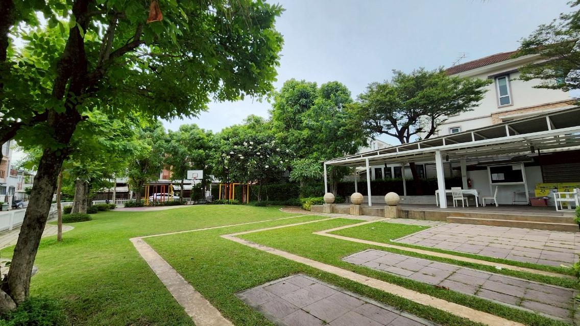 ขาย ม.พลัส ซิตี้ พาร์ค ซ.งามวงศ์วาน 25 (Plus City Park Ngamwongwan 25 ) 16
