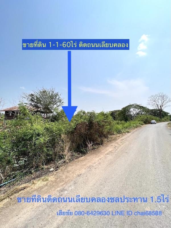 ขายที่ดินติดถนนเลียบคลอง เนื้อที่ 1-1-60ไร่ ใกล้ห้างไทวัสดุ ห้างโฮมโปรบายพาส ใกล้ถนนบายพาส ทล.204 เหมาะพัฒนาเป็นบ้านสวน รีสอร์ท 1