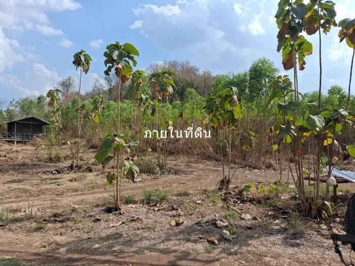 ขายที่ดิน 4-3-86ไร่ ต.กันจุ อ.บึงสามพัน ขายต่ำกว่าประเมิน50กว่าเปอร์เซ็นต์ 6