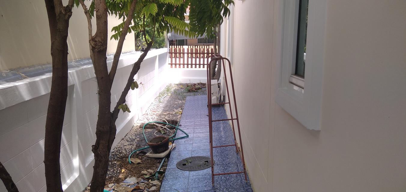 ขายบ้านเดี่ยวชั้นเดียวใกล้นิคมหนองปลาหมอ สระบุรี 4