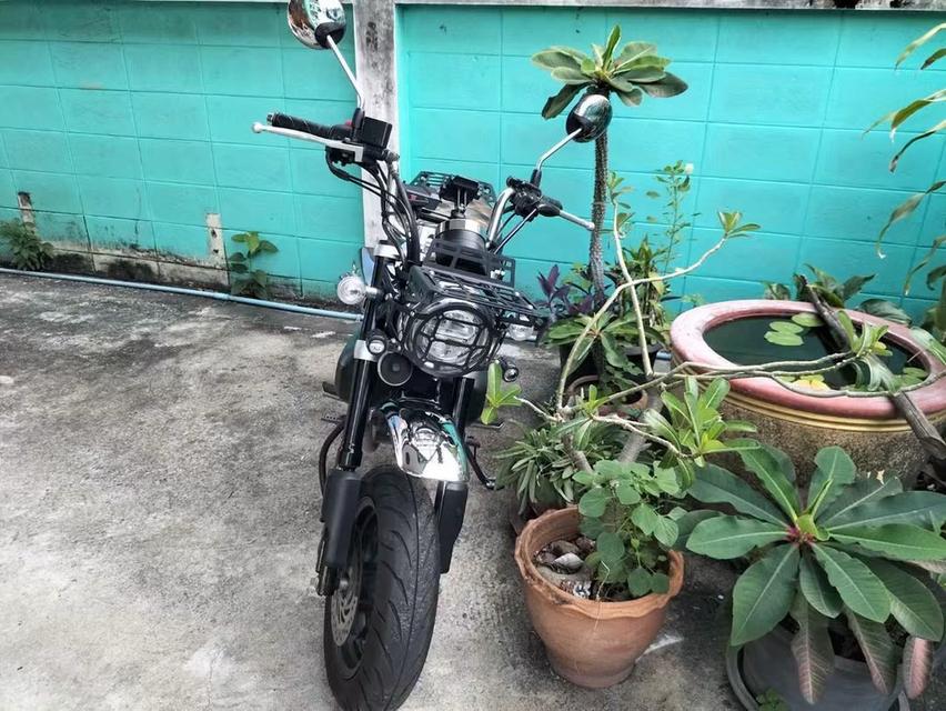 Honda monkey 125 มี 5 เกียร์ ปี 2023 จ รูปที่ 6